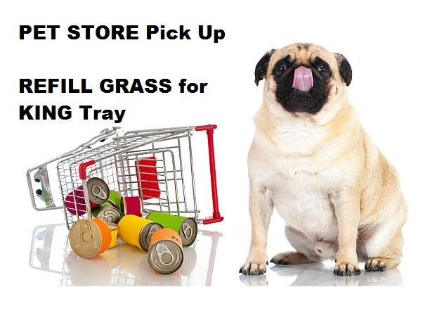 REFILL GRASS  for KING Tray- PET STORE Pick Up
