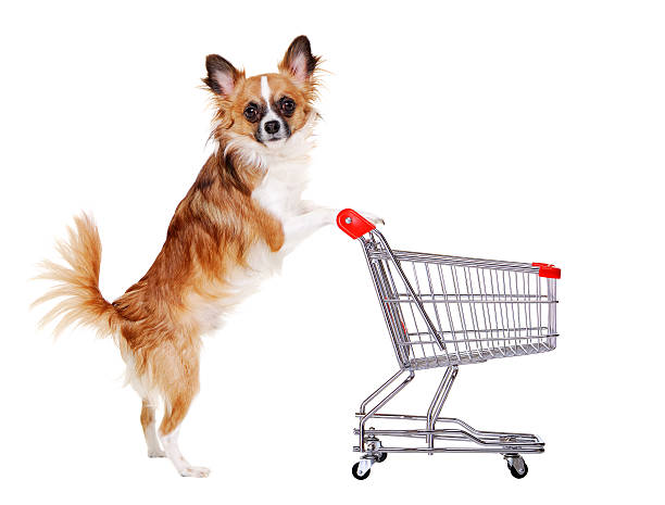 PICKUP at BURNABY Warehouse