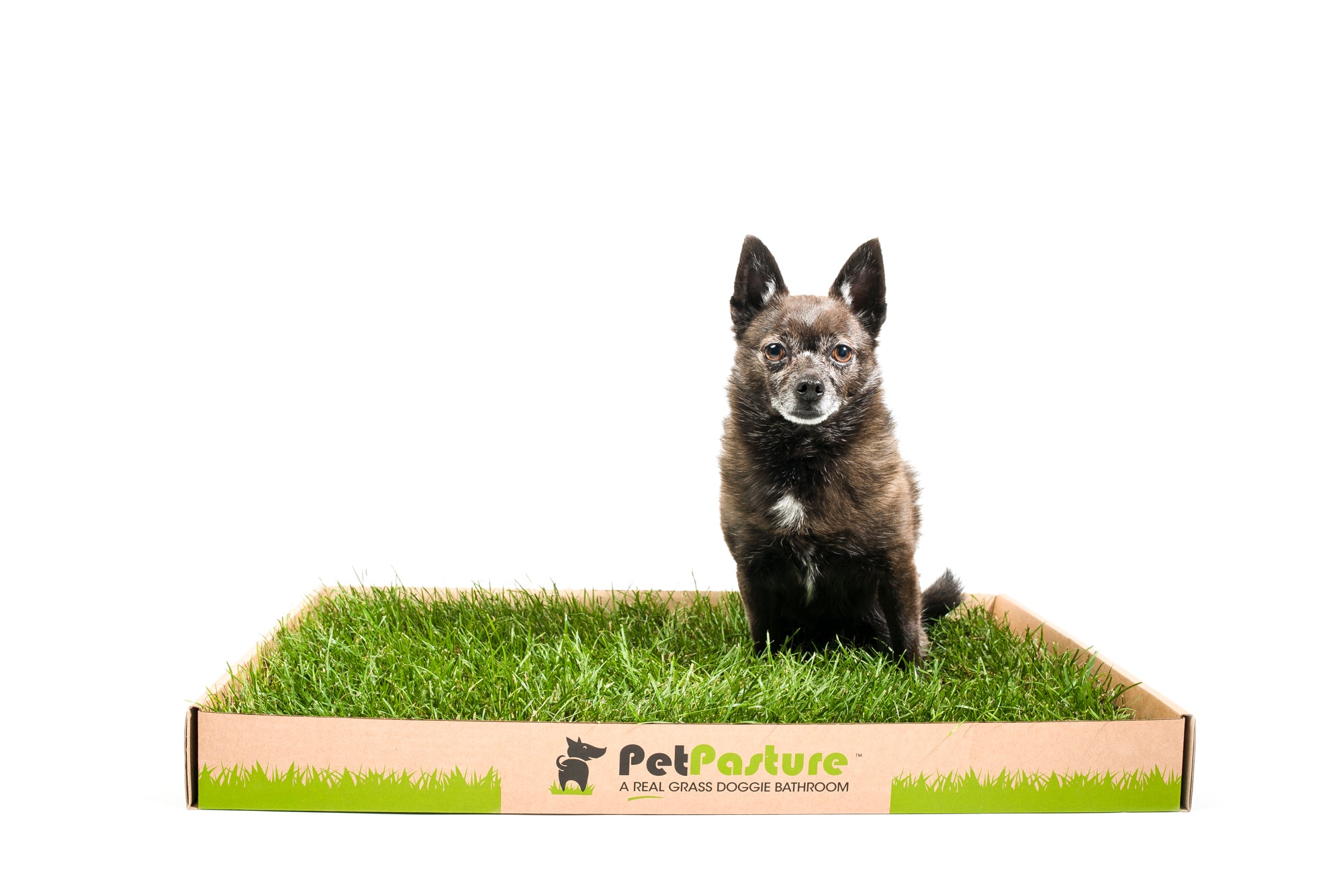 Regular Size Pasture Box