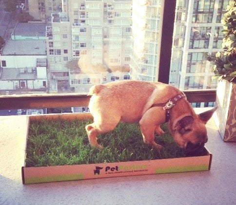 EVERY 2 WEEKS Subscription $23.99/box