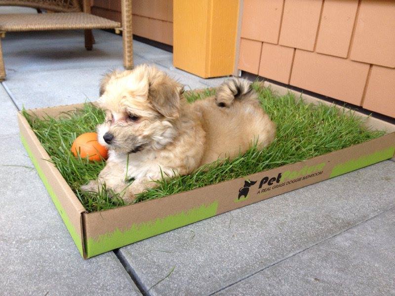 OUTSIDE of Vancouver SHIPPING