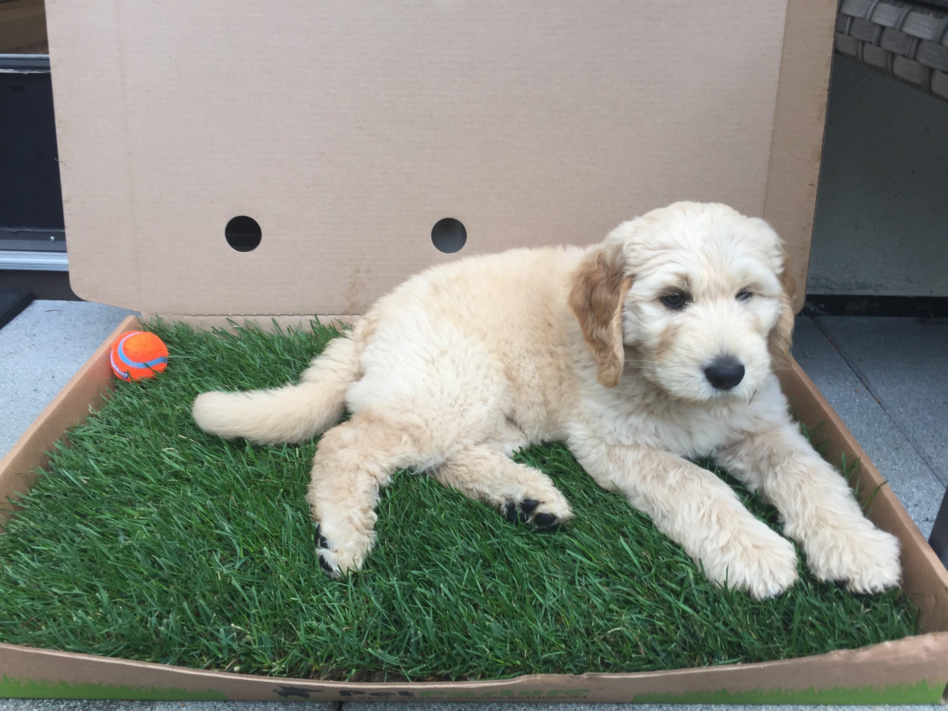 MONTHLY Subscription $25.99/box