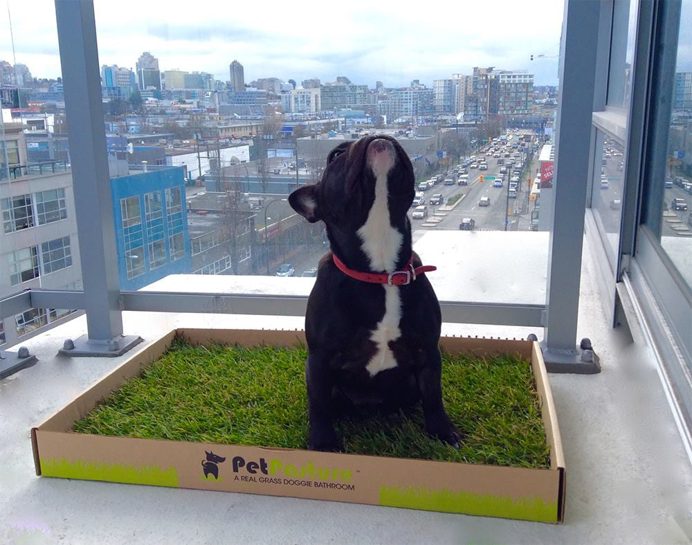 WEEKLY Subscription $23.99/box