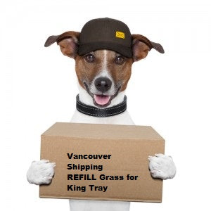 REFILL GRASS for KING Tray VANCOUVER SHIPPING