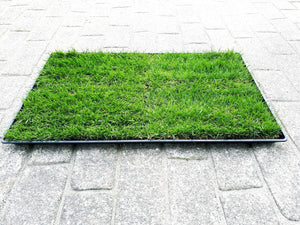 LARGE Leakproof  KING TRAY