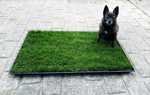 REFILL Grass PICKUP from BURNABY WAREHOUSE