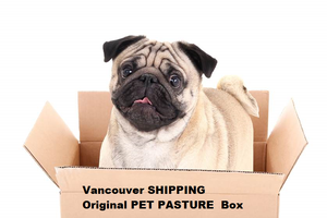 Vancouver Area COURIER SHIPPING